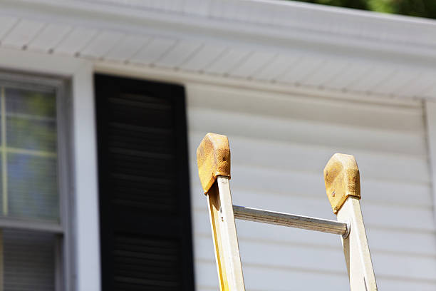 Best Yard Waste Removal  in Fennville, MI