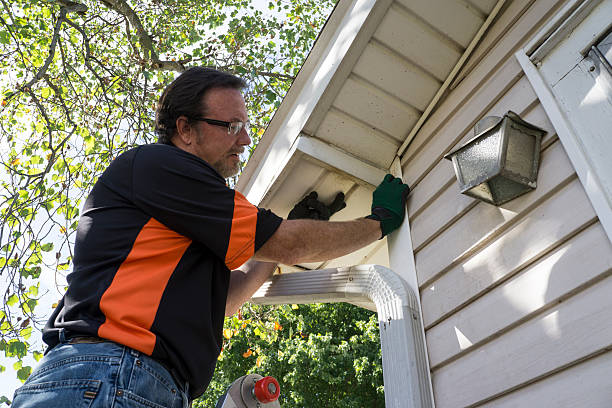 Best Construction Debris Removal  in Fennville, MI